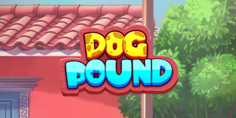 Dog Pound Slot Review: Quick Bite